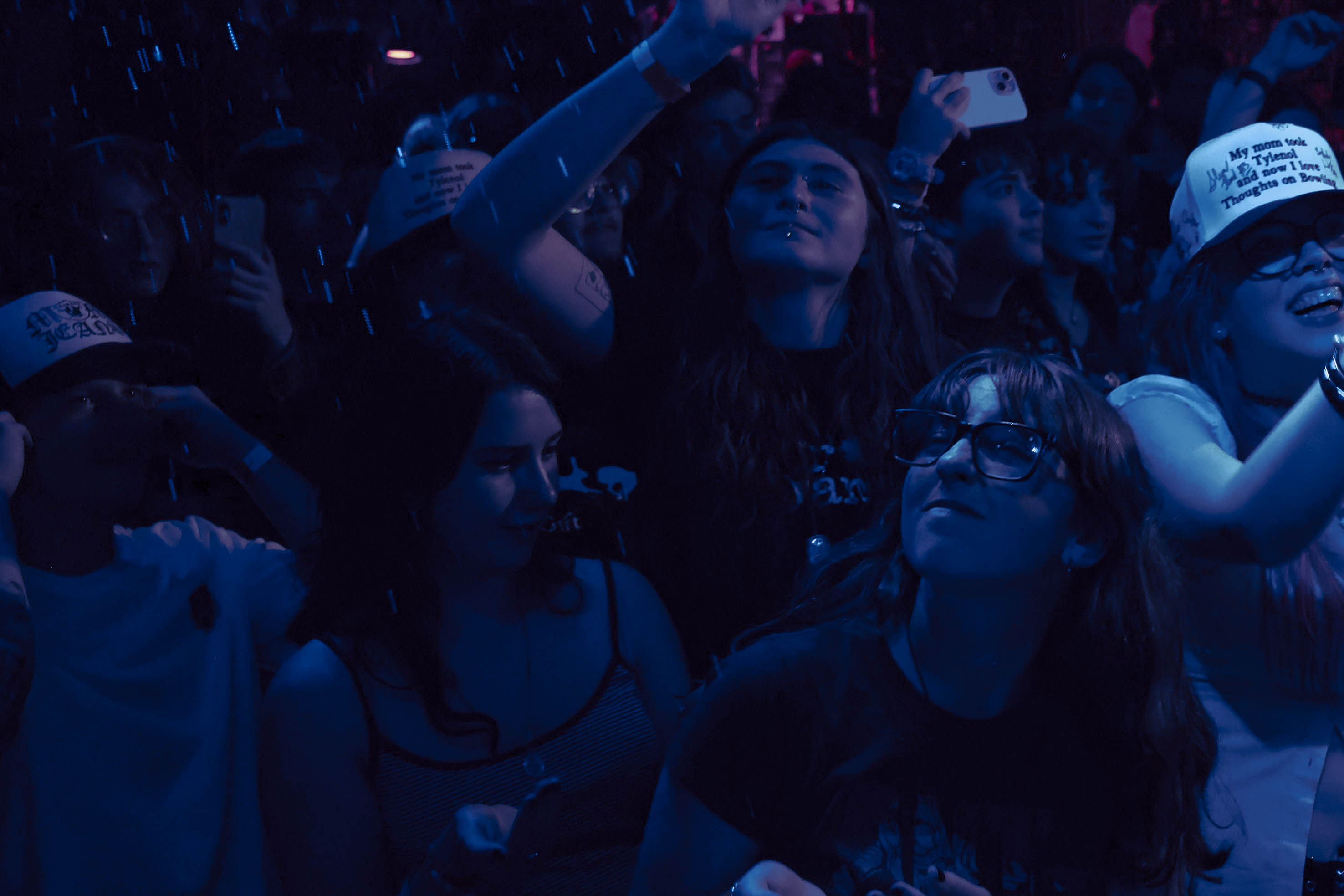 Fans at a show